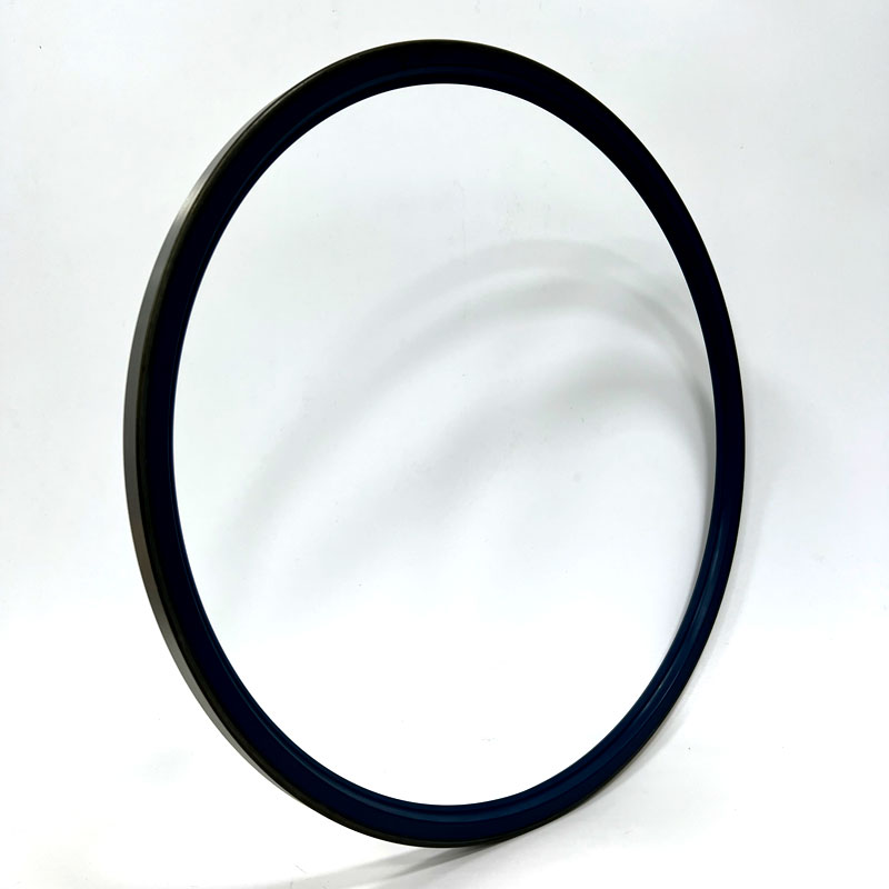 Freudenberg油封 径向轴封 SimmerringB1O